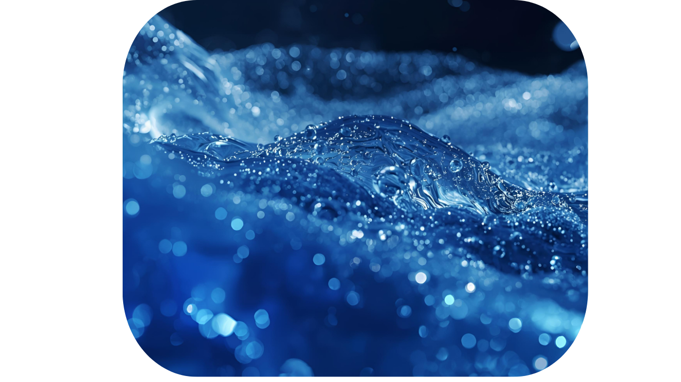 Untitled design (51)